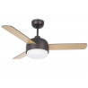 Ceiling Fan LEDS C4 Klar