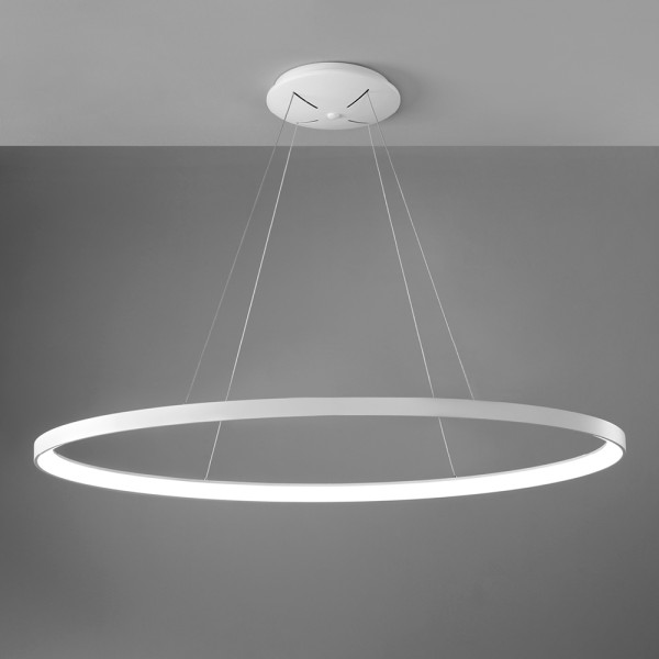 Lifering-O Large Oval Pendant Lamp Vivid aluminum structure